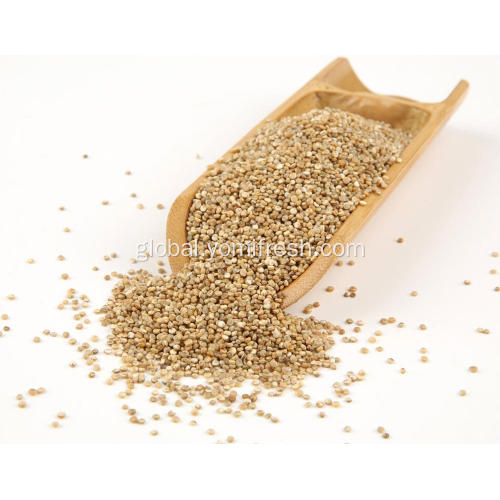 Quinoa Rice Quinoa 3 Colors Supplier